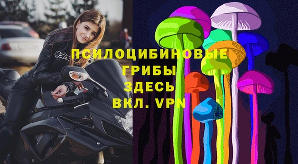 каннабис Ельня
