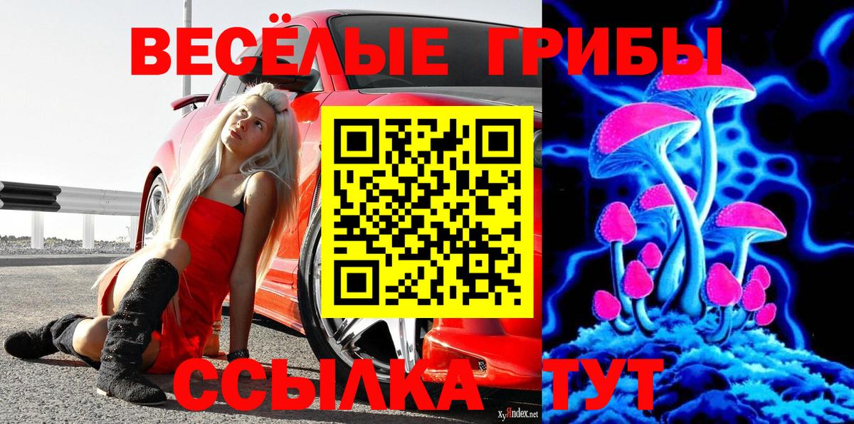 Галлюциногенные грибы GOLDEN TEACHER Кропоткин