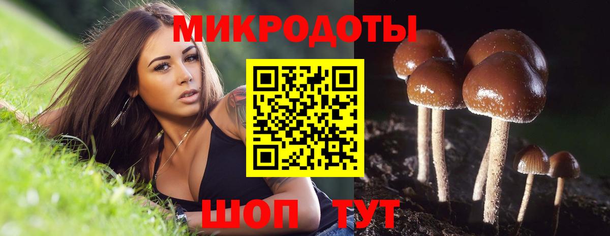 Кропоткин  Галлюциногенные грибы ЛСД  Вход с VPN  Псилоцибиновые грибы мухоморы 