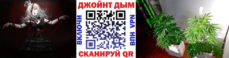 Конопля сатива  МЕГА ТОР  Кропоткин 